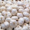 chinese garlic,ginger,pomelo,or other fruits &vegetables
